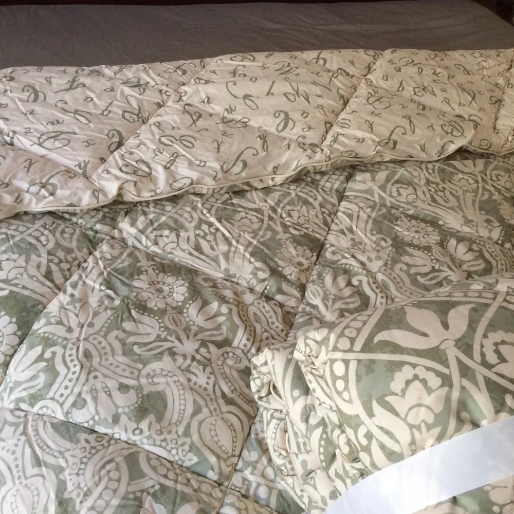 Pottery Barn Lorraine Comforter Quilt Twin